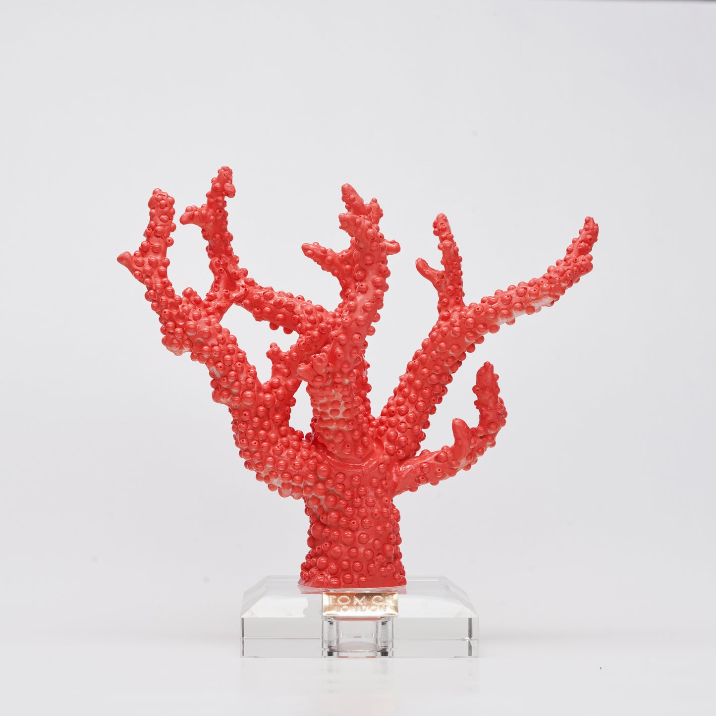 Coral